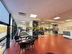 Nicolae Caramfil, vanzare business sala de fitness